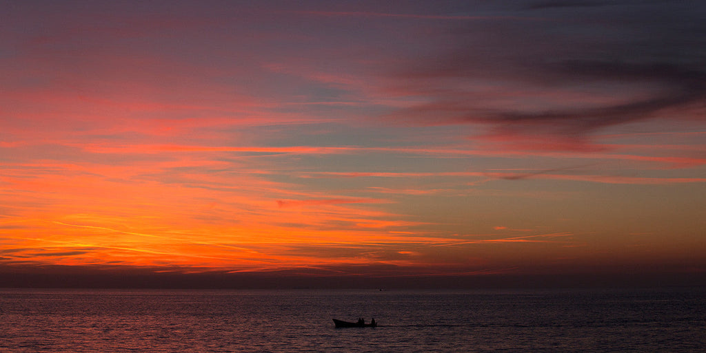 Elements Community as a portal for the local extraordinary