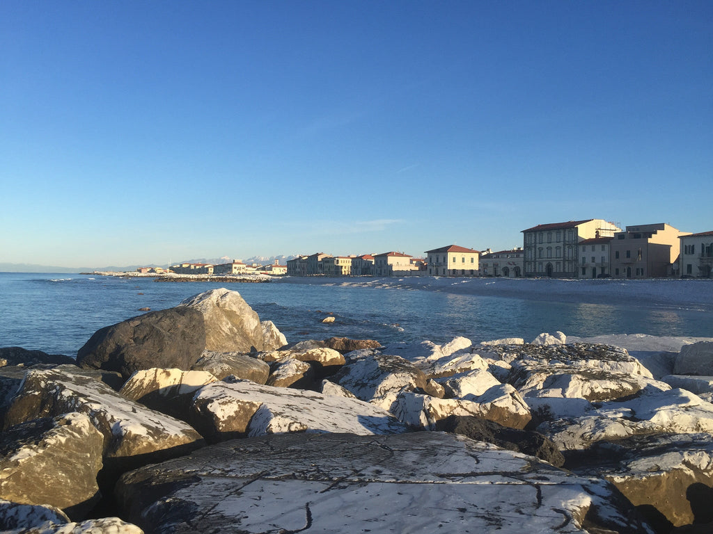 Inspection on H24 after second storm shows no damage